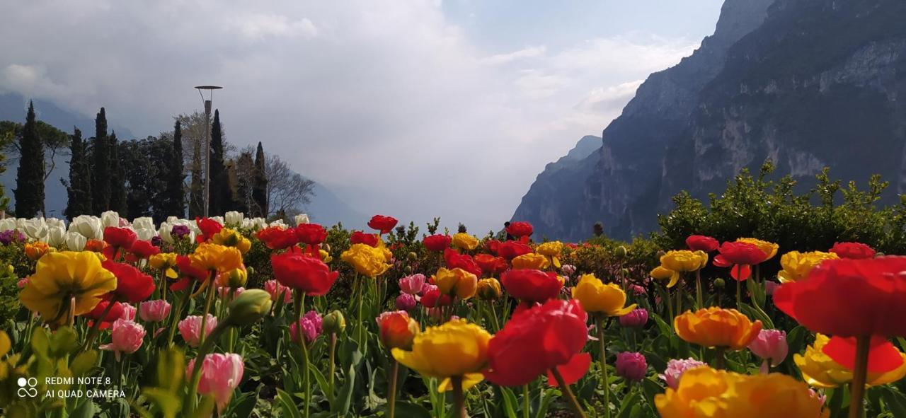 Casavarone Riva del Garda Exterior foto
